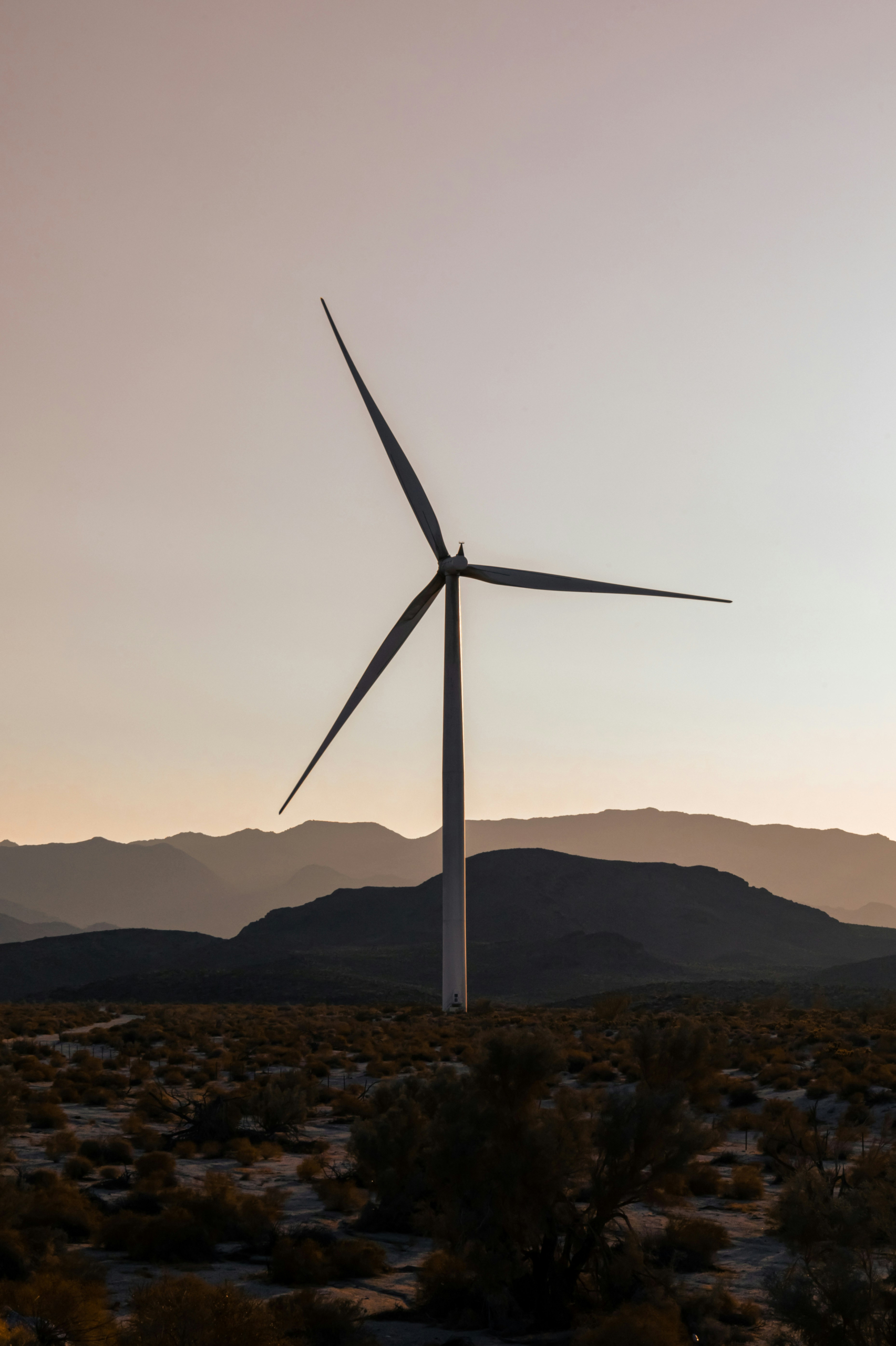 ESG Single Wind Turbine Brown Hue